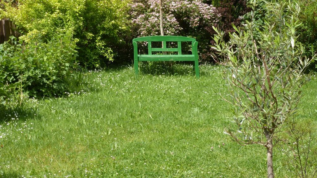 Alte Schule Apartment Tambach Dietharz Bagian luar foto